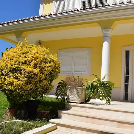 B House Verdizela